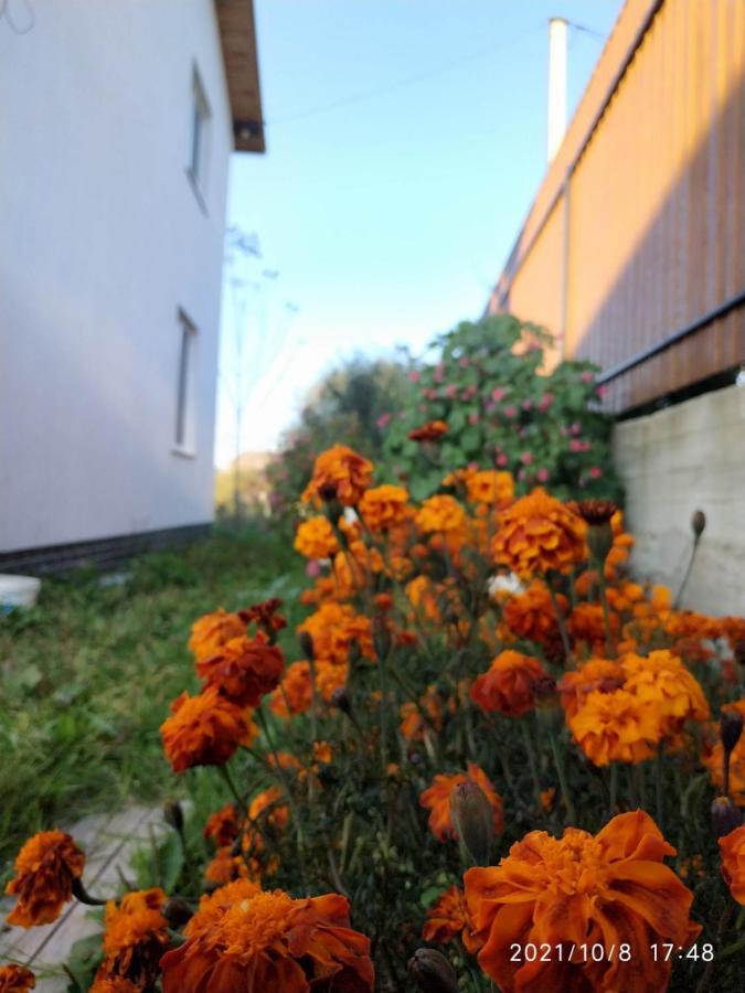 Nestg Guest House Pilipets Dış mekan fotoğraf