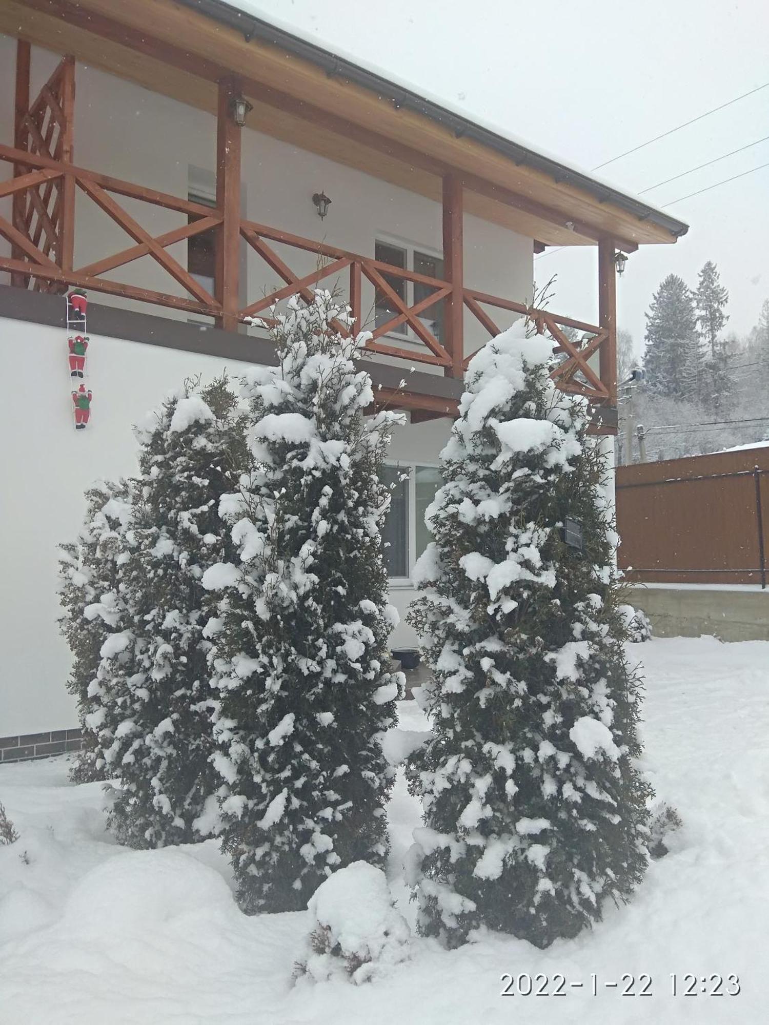 Nestg Guest House Pilipets Dış mekan fotoğraf
